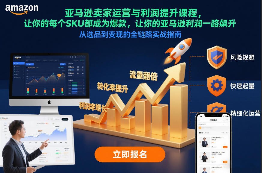 亚马逊卖家运营与利润提升课程，让你的每个SKU都成为爆款，让你的亚马逊利润一路飙升(更新26年3月)-laogaiwz