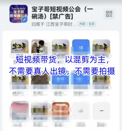 宝子哥头部团队短视频带货，以混剪为主，不需要真人出镜，不需要拍摄【更新26年3月】-laogaiwz
